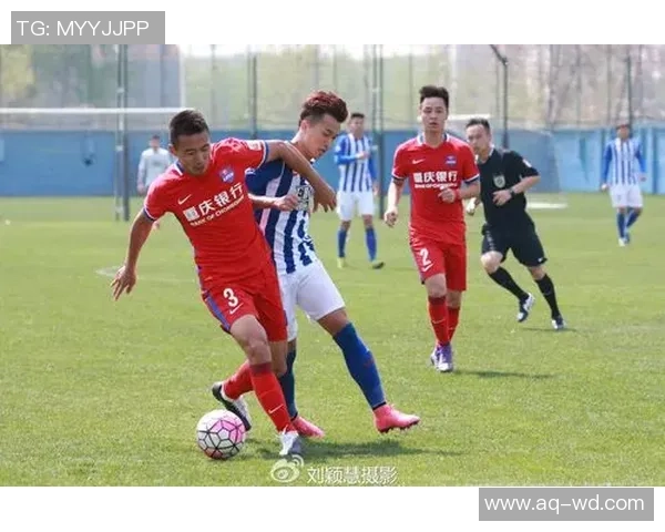 2017年重庆力帆与石家庄永昌的精彩对决回顾与分析